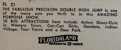 Floridaland - Postcard Back